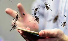 طريقه التخلص من الذباب والناموس خلال الصيف