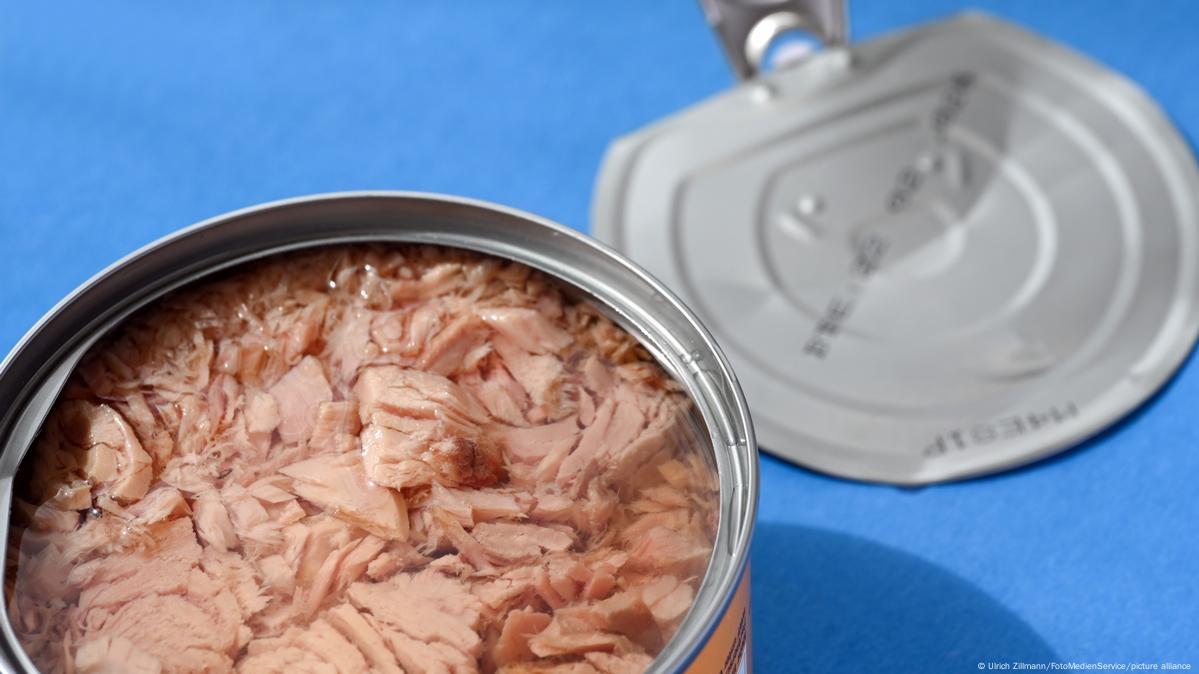 اضرار وفوائد التونة المعلبة وافضل أنواع التونة