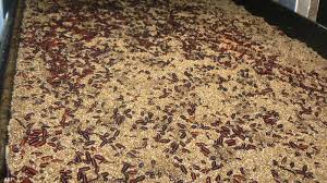 خطورة الدودة الحلزونية اكله اللحوم الحيه بعد اعلان أمريكا ظهور اول حاله مرضيه